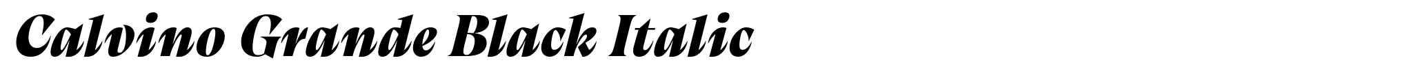Calvino Grande Black Italic image